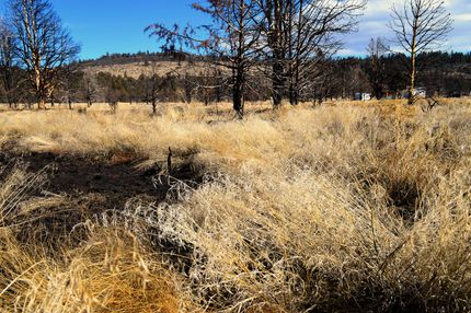 Farm and Ranch in Klamath County, Oregon