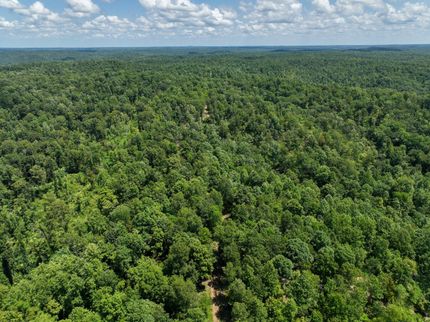 Timberland Property in Perry County, Tennessee