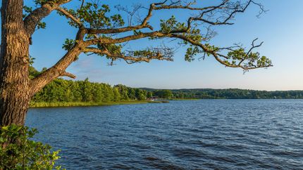 Undeveloped Land in Benton County, Missouri