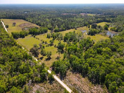 Undeveloped Land in Taylor County, Florida