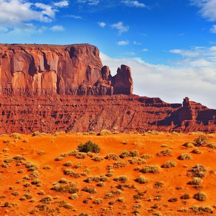 Undeveloped Land in Navajo County, Arizona