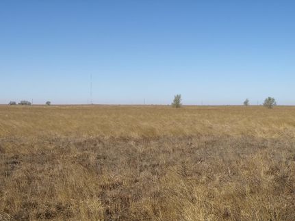 Farm and Ranch in Lamb County, Texas