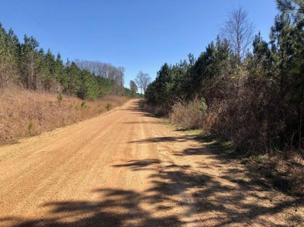 Recreational Property in Pickens County, Alabama