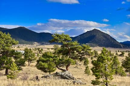 Undeveloped Land in Park County, Colorado