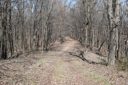Timberland Property in Jackson County, Indiana