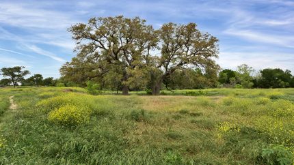 Farm and Ranch in Caldwell County, Texas