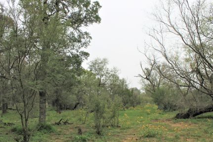 Hunting Property in Atascosa County, Texas