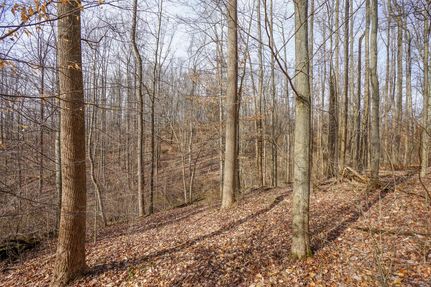 Farm and Ranch in Morgan County, Ohio
