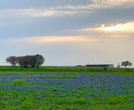 Horse Property in Erath County, Texas