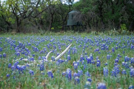 Farm and Ranch in McCulloch County, Texas