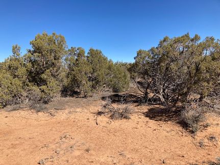 Timberland Property in Duchesne County, Utah