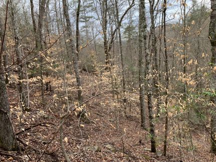Recreational Property in Claiborne County, Tennessee