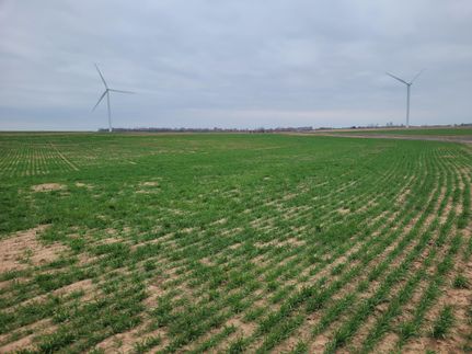 Farm and Ranch in Kingman County, Kansas