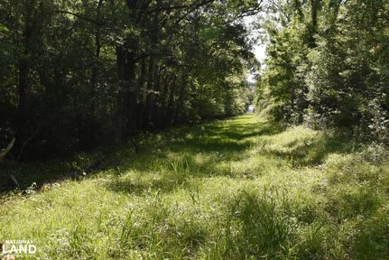 Recreational Property in Iberville Parish, Louisiana