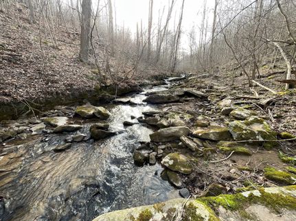 Timberland Property in Fayette County, Pennsylvania