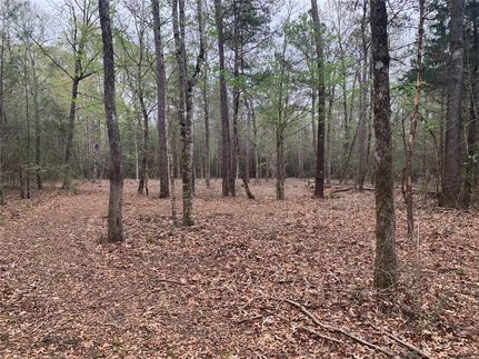 Recreational Property in Tyler County, Texas