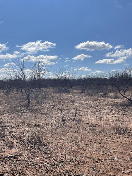 Farm and Ranch in Taylor County, Texas