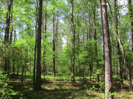 Farm and Ranch in Itawamba County, Mississippi