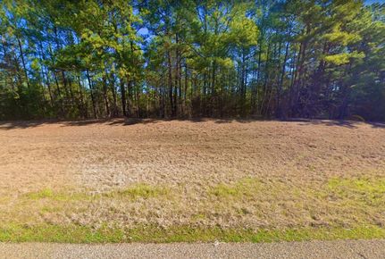 Undeveloped Land in Marion County, Texas