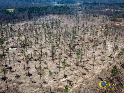 Recreational Property in Hardeman County, Tennessee