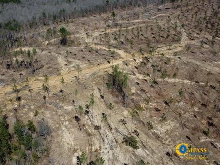 Hunting Property in Hardeman County, Tennessee