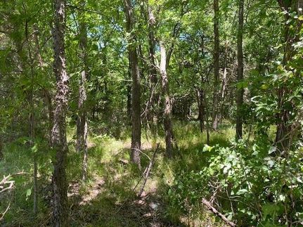 Farm and Ranch in Lamar County, Texas