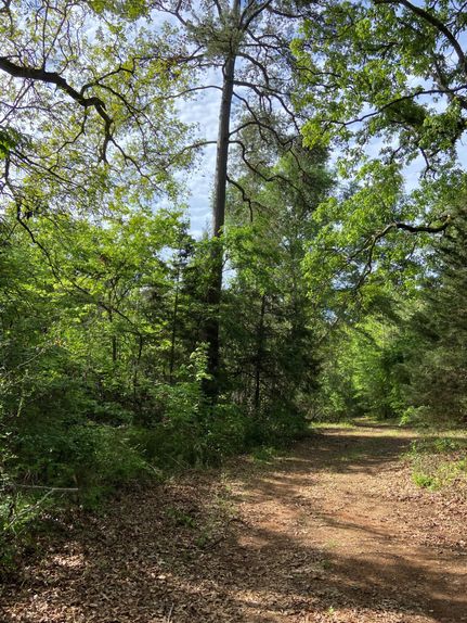 Hunting Property in Anderson County, Texas