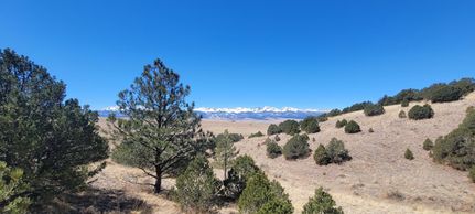Farm and Ranch in Custer County, Colorado