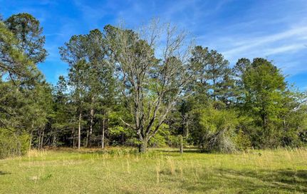 Timberland Property in Marion County, South Carolina