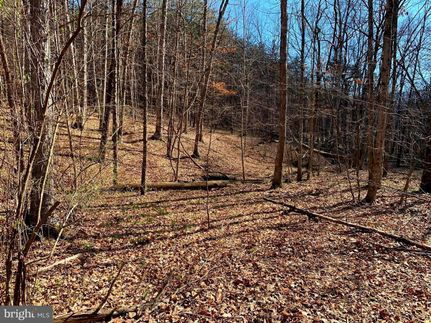Undeveloped Land in Hampshire County, West Virginia