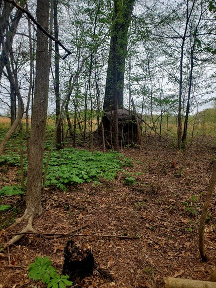 Land in Weakley County, Tennessee