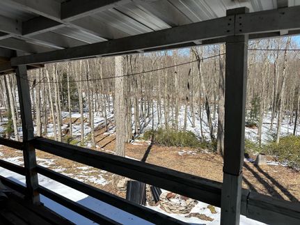 Timberland Property in Clinton County, Pennsylvania