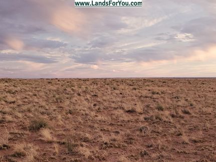 Farm and Ranch in Navajo County, Arizona