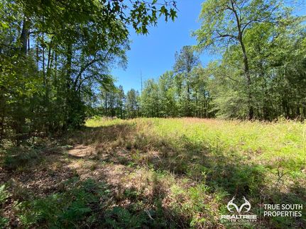 Land in Hampton County, South Carolina