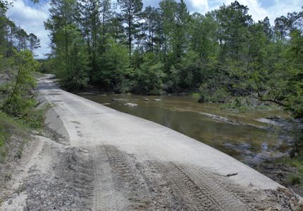 Undeveloped Land in Trinity County, Texas
