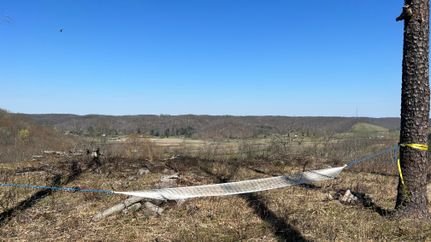 Hunting Property in Vinton County, Ohio
