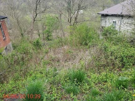 Land in Logan County, West Virginia