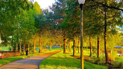 Undeveloped Land in Highlands County, Florida