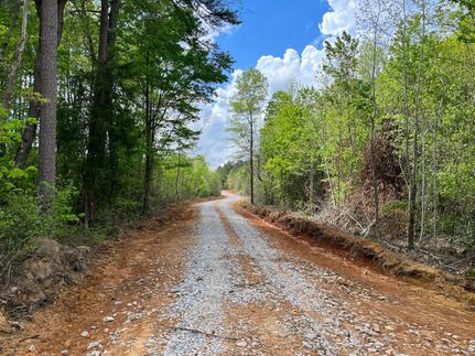 Timberland Property in Nash County, North Carolina