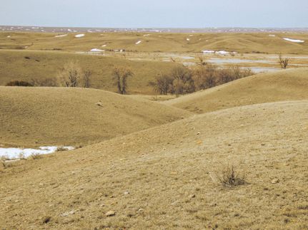 Farm and Ranch in Valley County, Montana