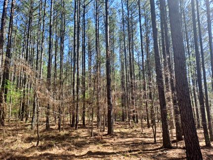 Farm and Ranch in Walker County, Alabama
