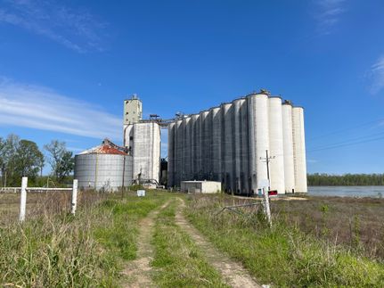 Undeveloped Land in Tensas Parish, Louisiana