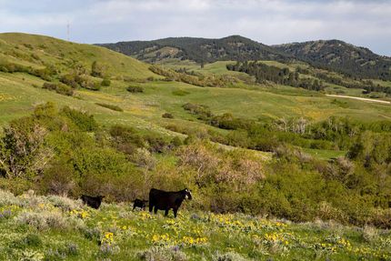 Farm and Ranch in Sheridan County, Wyoming