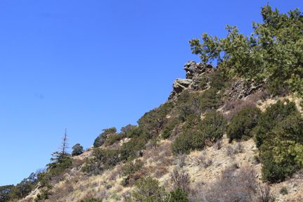 Timberland Property for sale in Costilla County, Colorado