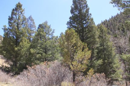 Recreational Property for sale in Costilla County, Colorado