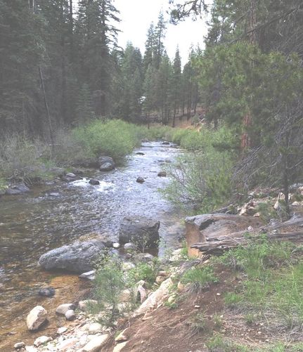 Riverfront Property in Plumas County, California