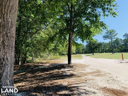 Timberland Property in Lexington County, South Carolina