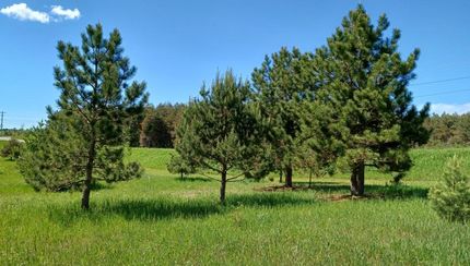 Land in Otsego County, Michigan