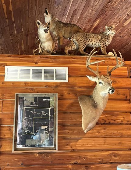 House in Stephens County, Texas