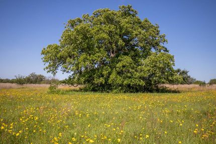 Recreational Property in Dewitt County, Texas
